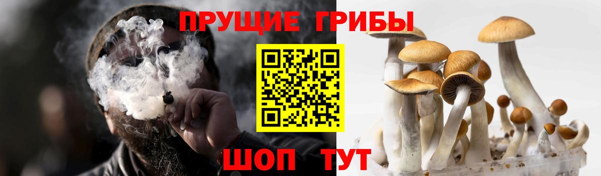Галлюциногенные грибы мухоморы  Вход с VPN  Сухой Лог 